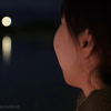 在某个深夜你是否也想起了一些事