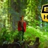 【8K/HDR】绝美红杉树森林，仿佛隔着屏幕就能闻到自然的味道