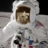 【最后一个登月的人】【NASA登月】【HBO从地球到月球】APOLLO17  尤金塞尔南 哈里森施密特最后一次月面行走