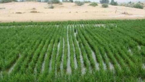 835f1013dd4bc66636b378dfe94a6c0dd0988604.jpg@480w_270h_1c