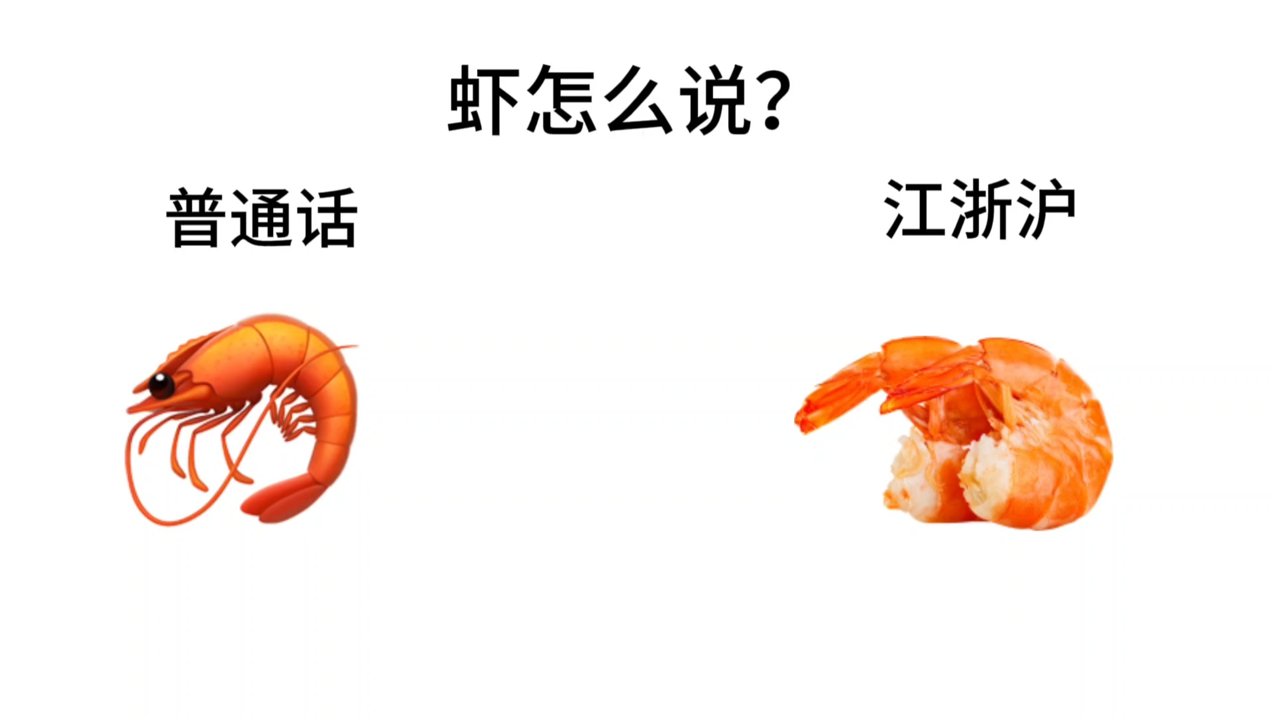 虾是这么说的