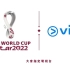 【VIUTV/宣传片】FIFA2022卡塔尔世界杯