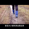 被骗去东南亚的女孩有多惨