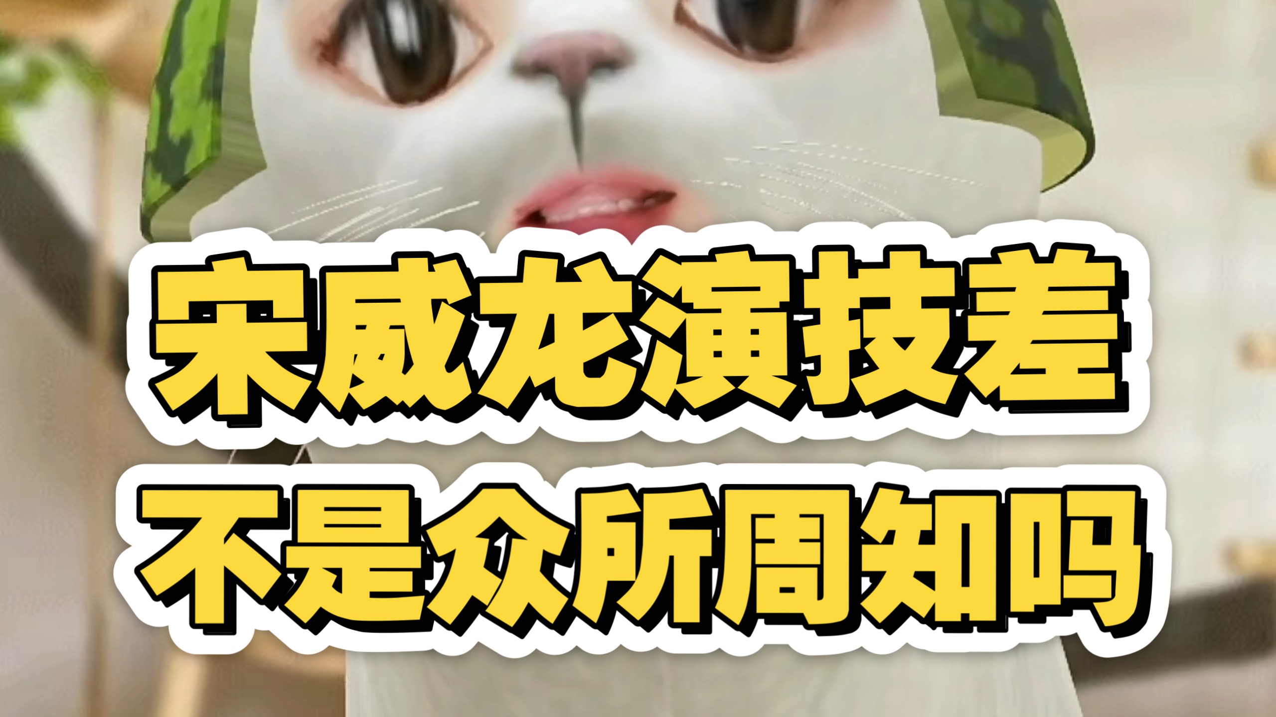 说宋威龙演技差不是众所周知的吗？