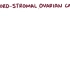 【搬运osmosis】Sex cord-stromal ovarian cancer