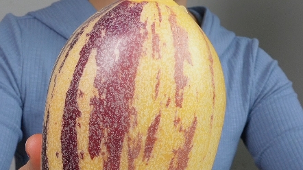 沙漠人参果！超解渴～