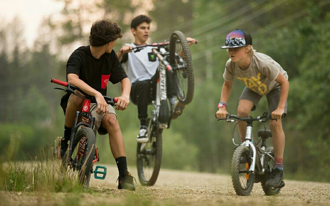 commencal junior cartel