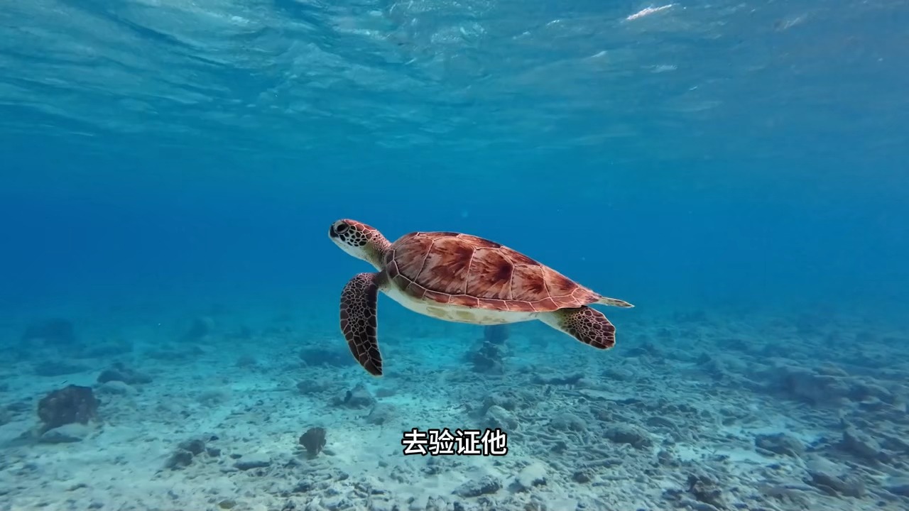 修行路上最大的陷井！如果你还在这样修行，那一定要注意了！