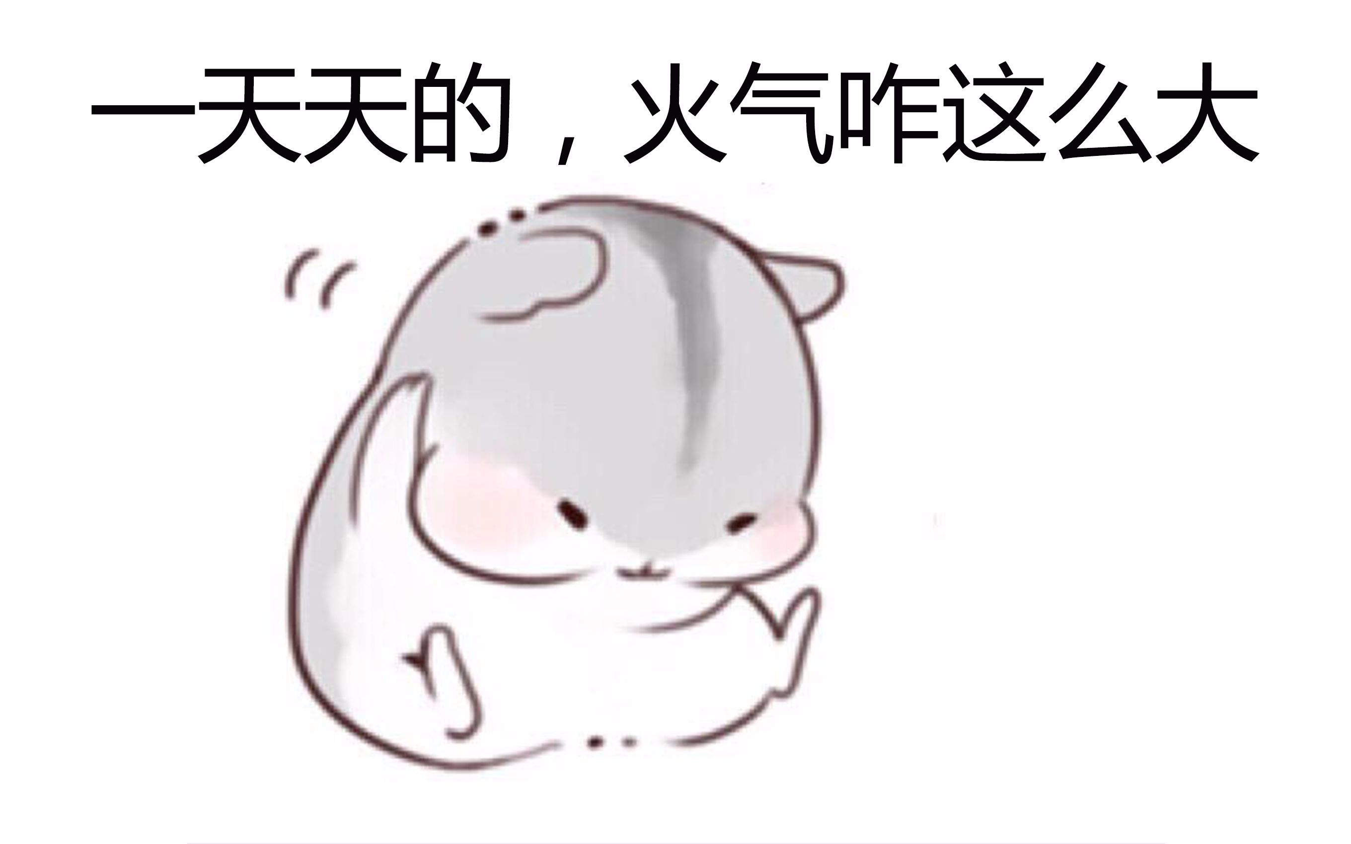 蓝战非又要气炸了