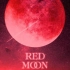 【JAZZ】体力不支的编舞kard - red moon