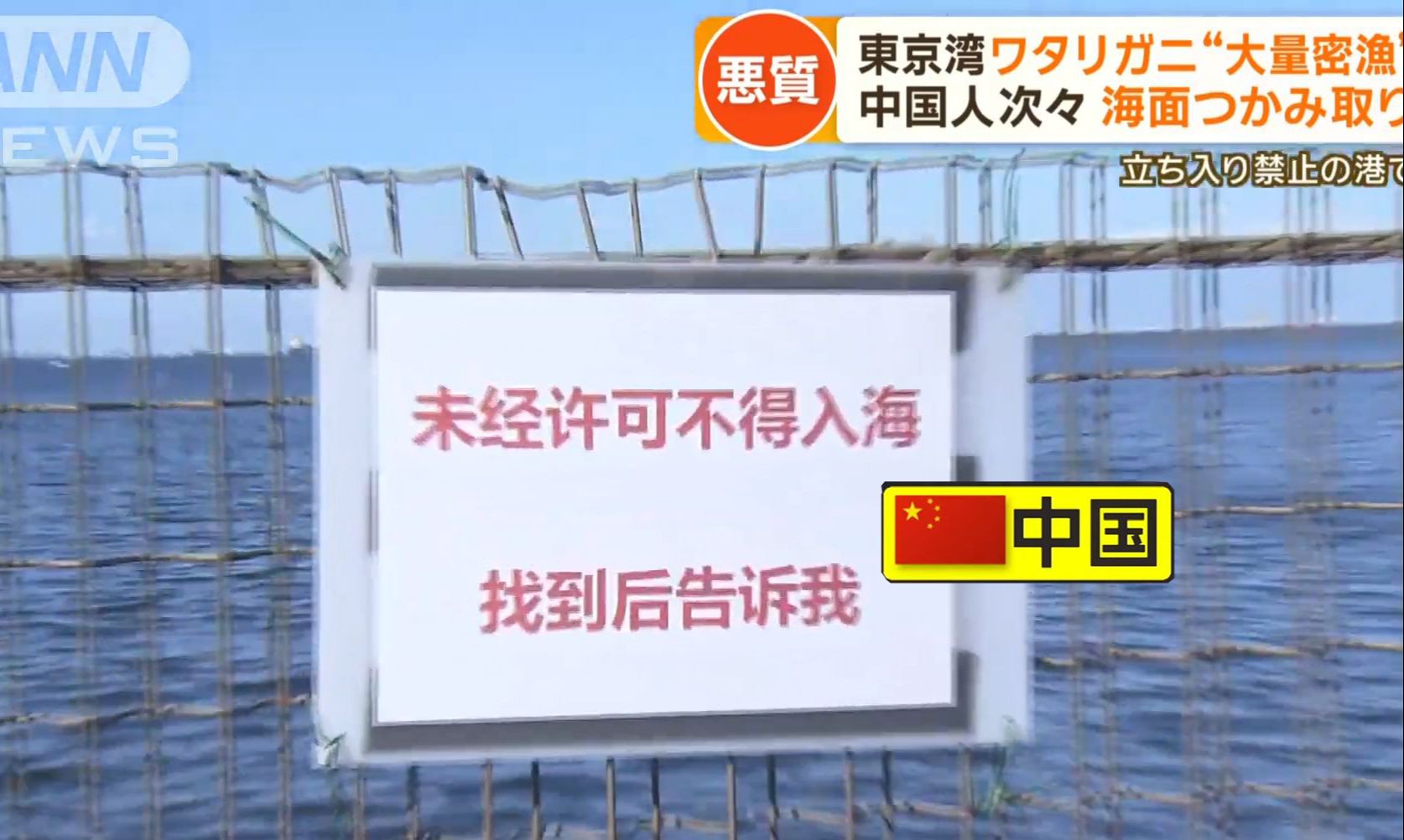 最近有很多中国人在东京湾里钓蟹：全是网上介绍的？当地渔民对此很头痛(中日双语)(23/12/19)