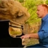 【The Piano Guys】Waterfall