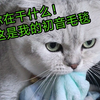 你在干什么！这是我的初音毛毯