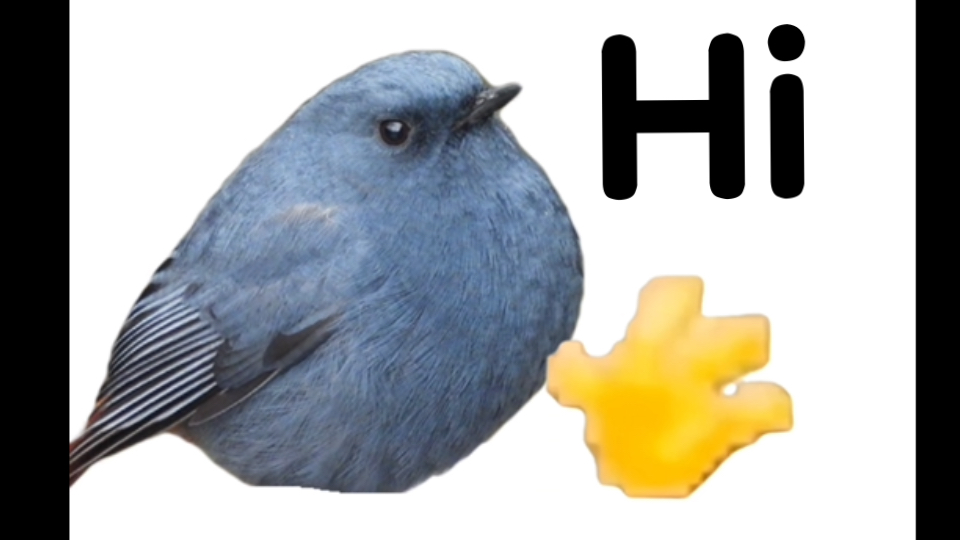 Hallo～Hallo～Hi～
