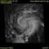 202001强台风黄蜂全程云图（B01）