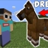 Minecraft 但我的朋友是只马？！（转载）                               Made 