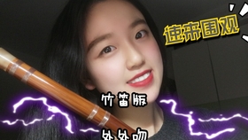 笛子c调曲谱大全_f调笛子曲谱大全(3)