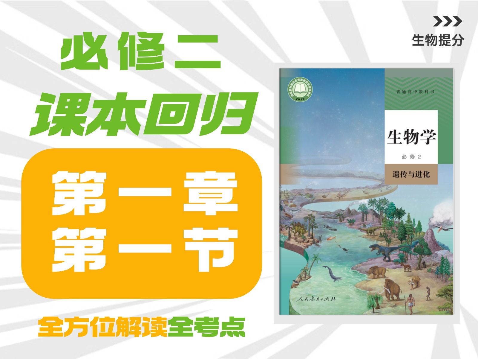 【高中生物课本回归】必修二 第1章 第1节 孟德尔的豌豆杂交实验（一）