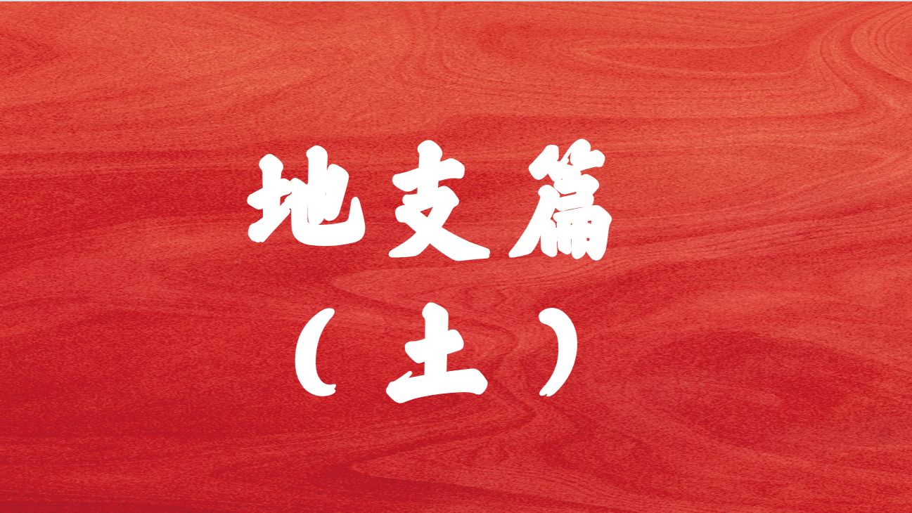 四柱八字—地支土，让大家一步一步学会并理解这门术数！