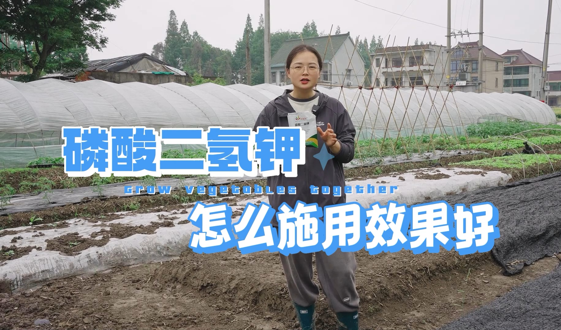 磷酸二氢钾多久使用一次？怎么使用效果好？