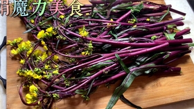 怎样晒干菜苔 84bd9f79735c9bbcb16fdb5bdac4c8a2f9895dda.jpg@280w_158h_1c_100q.jpg