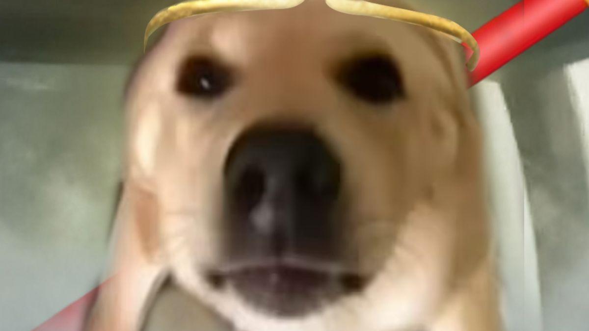 齐 天 大 🐶 《云宫迅音》🐔