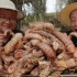 400买5斤皮皮虾，做一份“香辣皮皮虾”香辣过瘾，这次吃爽了