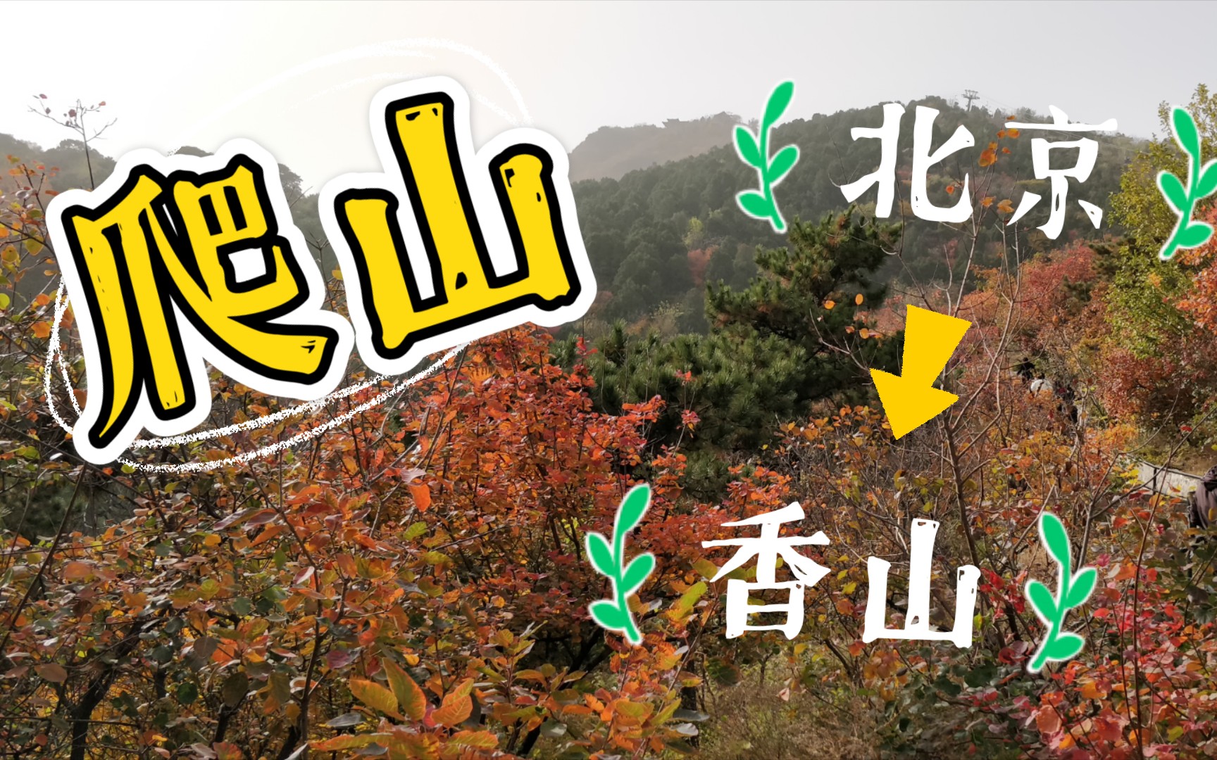 北京香山公园~哔哩哔哩bilibili