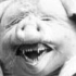 【法国|1907年短片】跳舞的猪(Le cochon danseur)