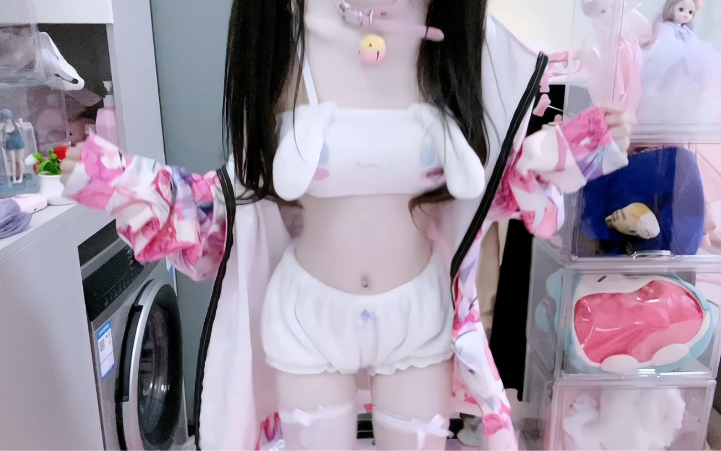 [Softie Cat has become an adult] Video loading, check out the surprises quickly!