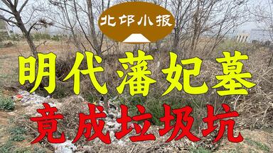 【<em class="keyword">北邙</em>小报】明代伊厉王墓现状：王妃墓成垃圾坑，文保碑倒地不起；太和邮局开张