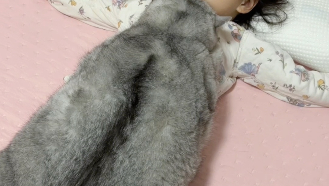 咪要贴幼崽睡，铲屎的走开