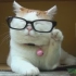 『猫叔』经典gif之猫叔摘眼镜
