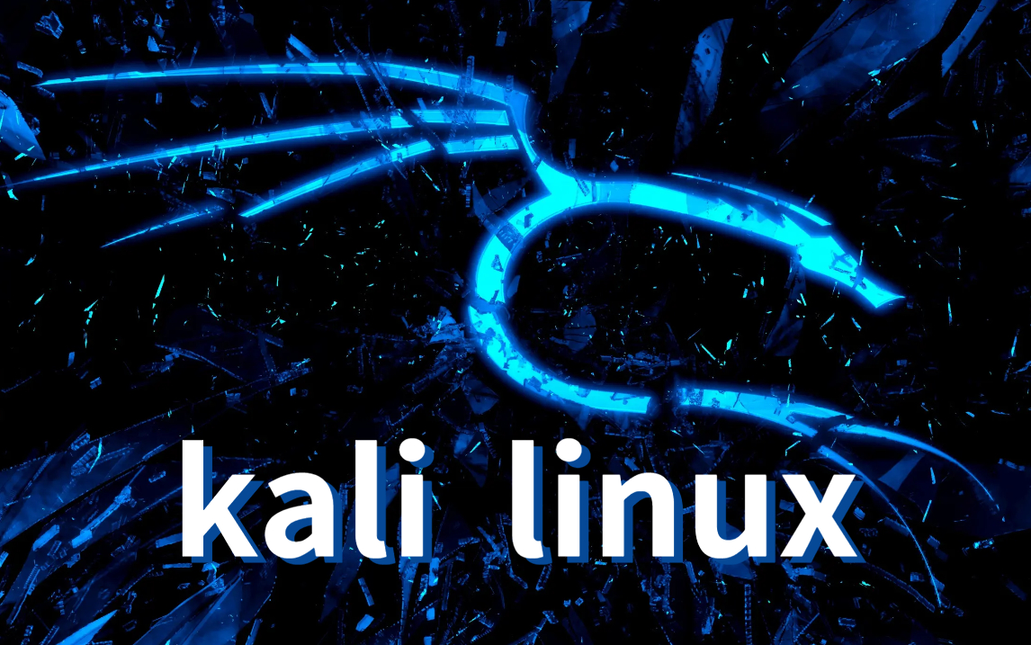 探索Kali Linux，有哪些值得推荐的书籍？  第1张