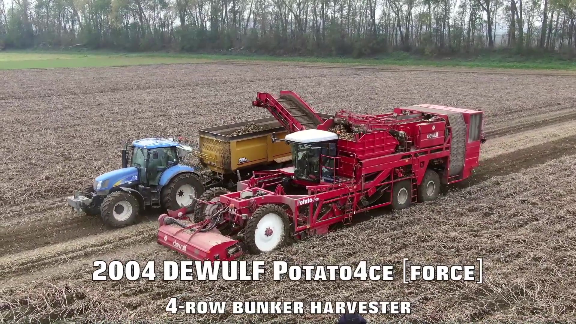 dewulfpotato4ce土豆收割机