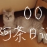 【阿茶日记】替朋友喂猫，不知远在东瀛的他是否已失联。Vlog.001