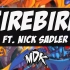 燃向电音短片《MDK ft. Nick Sadler - Firebird》（官方音乐视频）