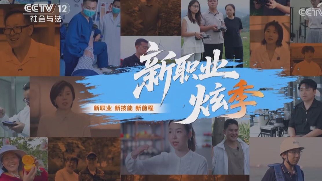 【央视】社会与法频道CCTV-12《新职业炫季》
