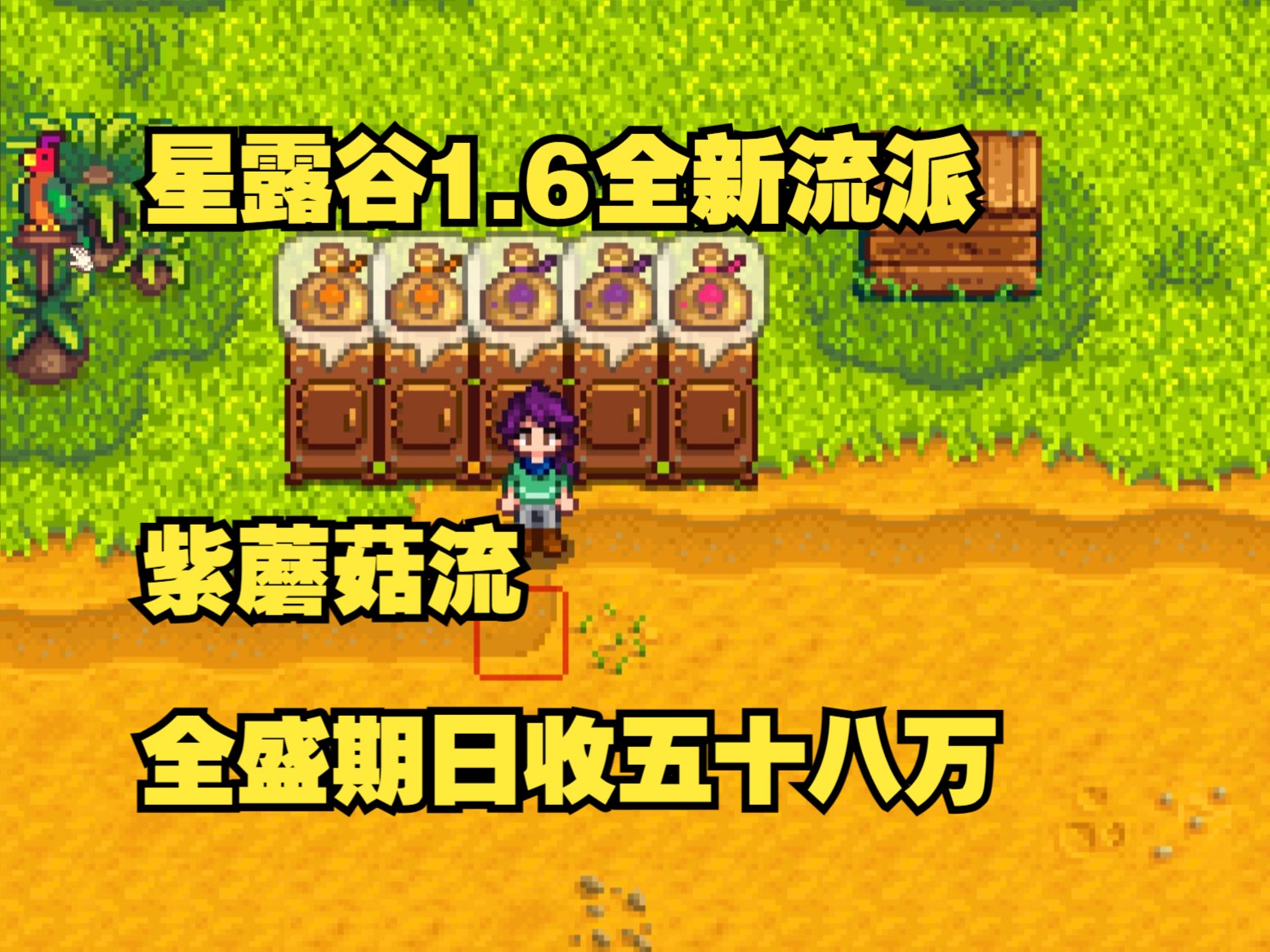 【星露谷1.6】新流派紫蘑菇流