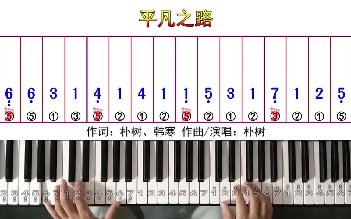 《平凡之路》零基础钢琴教学教程带指法双手简谱五线谱