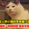 当主人把小猫的零食藏了起来，第一次这么明显地感受到满眼绝望，猫咪：两两相望 唯余失望