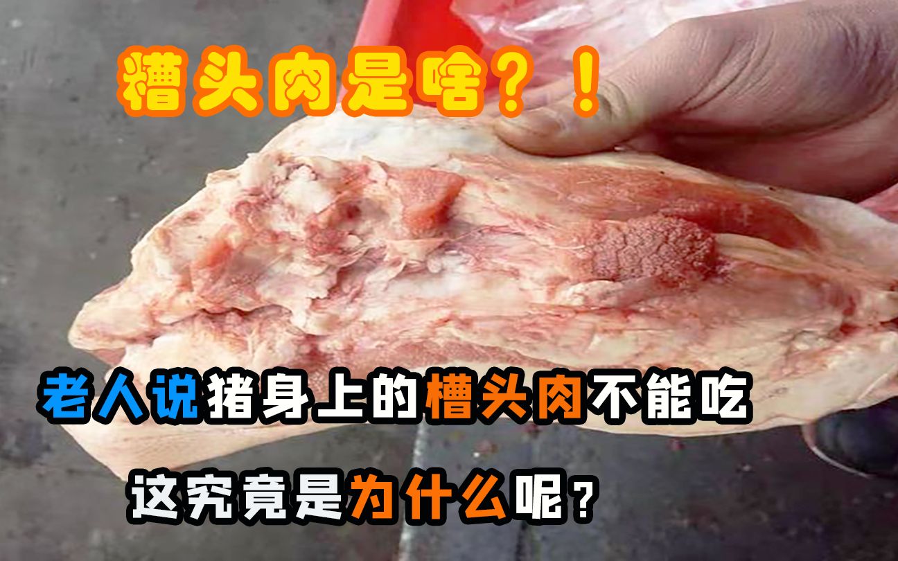 猪身上有一块“槽头肉”，老辈常说最好不要吃，这是为什么呢？