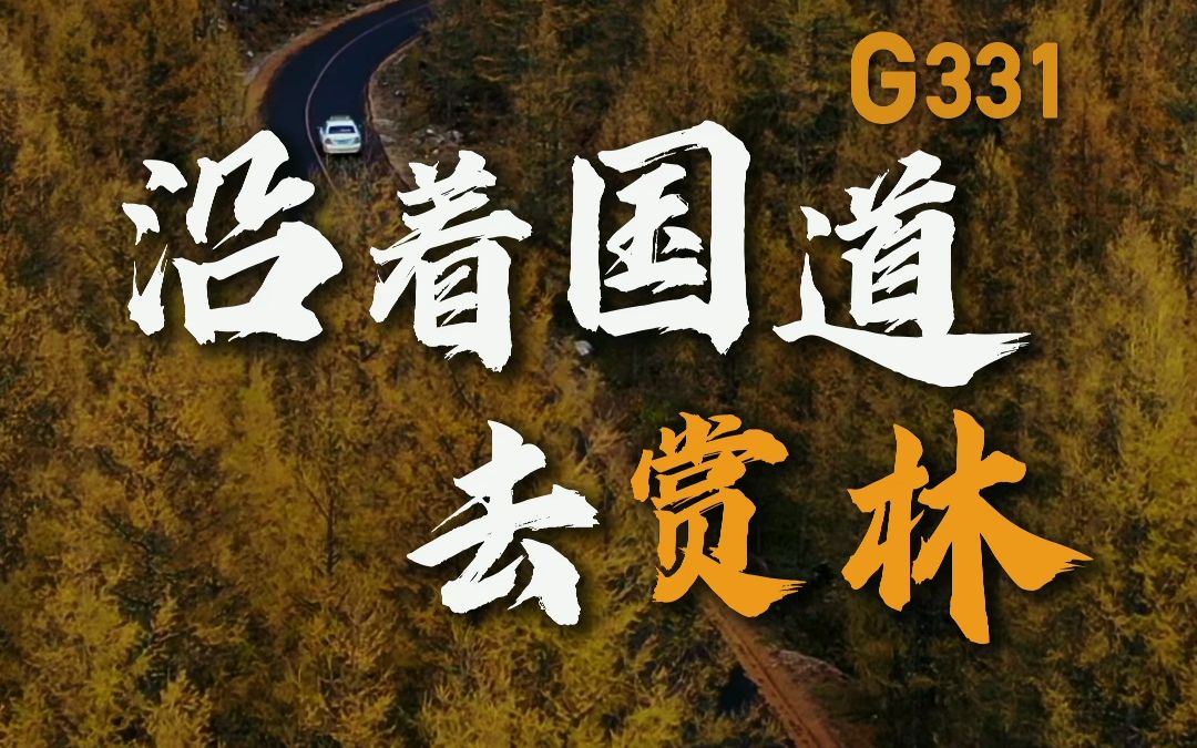 国道|踏上G331,开启秋日赏林之旅哔哩哔哩bilibili