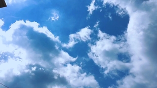 859e7d16da7d57fabf5b422790a0924df02c9aa4.jpg@310w_174h_1c_100q.jpg