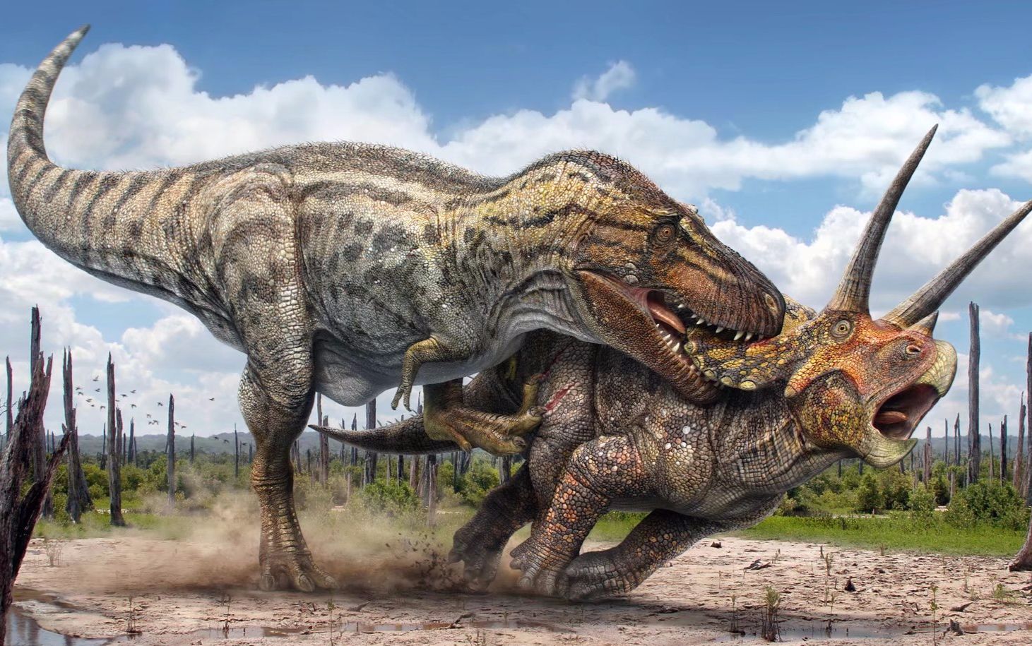恐龙（动画）绑定 骨骼 巨兽龙异特龙 恐龙 角鼻龙 霸王龙 模型-恐龙模型库-3ds Max(.max)模型下载-cg模型网
