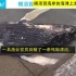 日本 横须贺海岸的海滩上发现的死亡鲸鱼(20211016)
