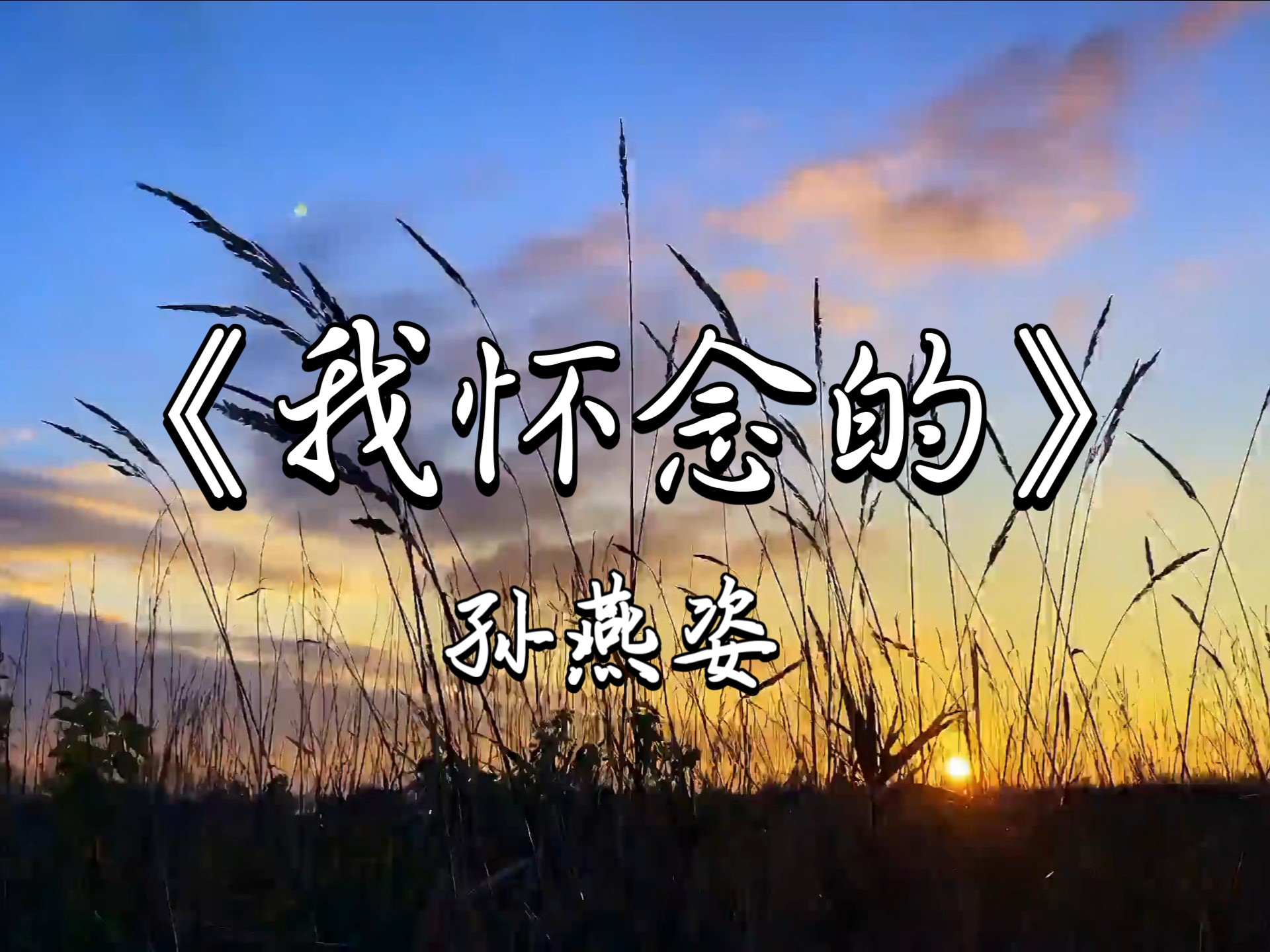 《我怀念的》- 孙燕姿 [无损音质]“我怀念的 是争吵以后 还是想要爱你的冲动～”