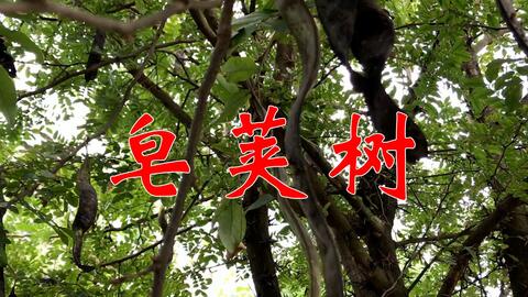 85cee246c5dac69c669638d3a9e7c3349fe7f280.jpg@480w_270h_1c