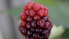 85cf2df85aab085903be8f431124f2b891ba252b.jpg@280w_158h_1c_100q.jpg