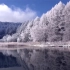 美丽的冬季雪景高清视频素材
